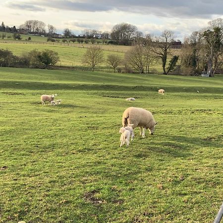 Weatherhead Farm Shepherds Hut Villa บักกิงแฮม ภายนอก รูปภาพ